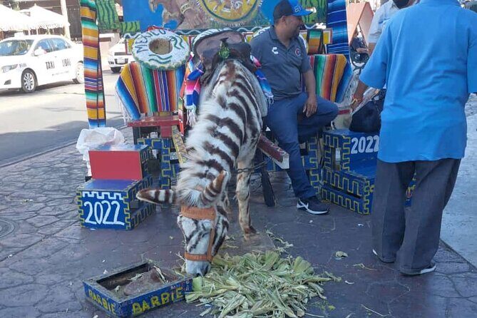 Tour Tijuana & rosarito/the best tacos La pasadita - Practical Tips for Participants