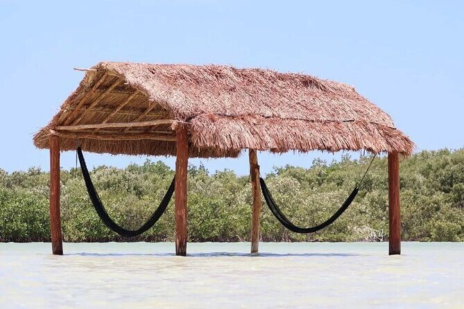 Tour to Agua Azul Island Departure from Merida to Yucatan - Who Is This Tour Best For?