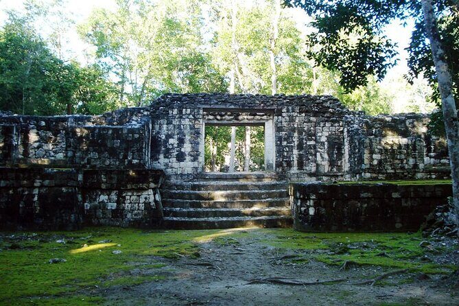 Tour to Calakmul and Balamkú. From Campeche - Who Should Take This Tour?