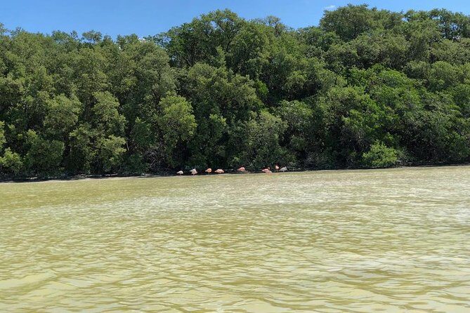 Tour to Celestún - The Experience: What You Can Expect