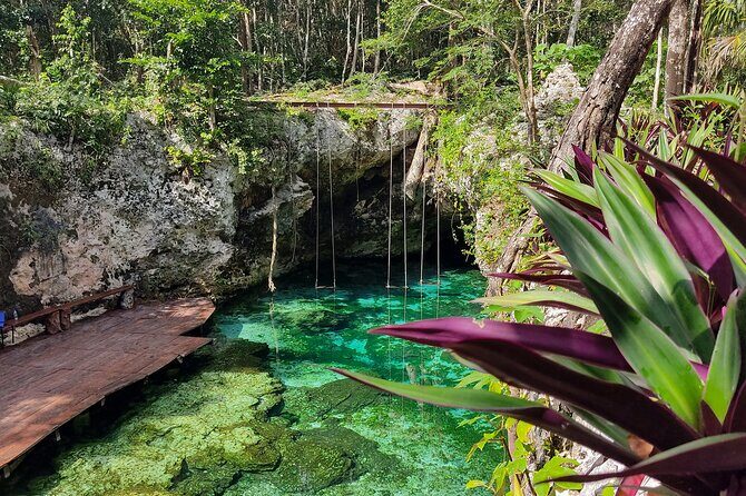 Tour to Coba Tulum and Cenote with Buffet from Tulum - Value for Money and Overall Impressions