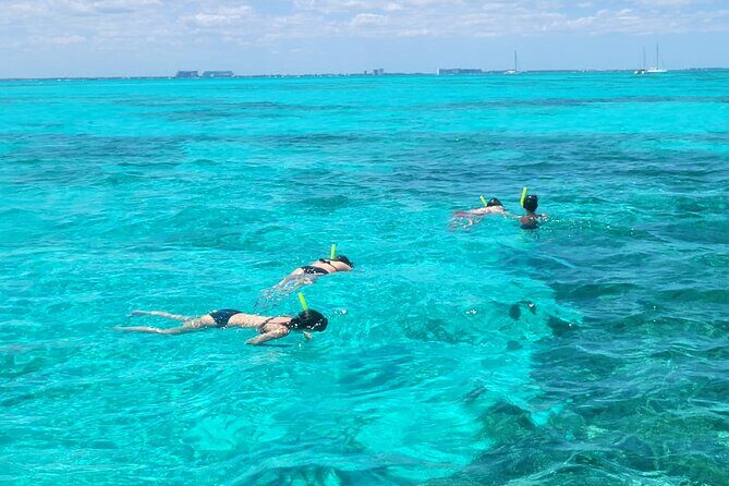 Tour to Cozumel by Catamaran with Snorkeling and Buffet Lunch - Final Thoughts: Who Is This Tour Best For?