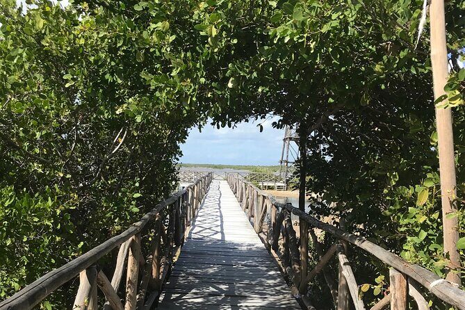 Tour to Cozumel Eco Nature Escape and Otoch Mayan Experience - An In-Depth Look at the Tour Experience