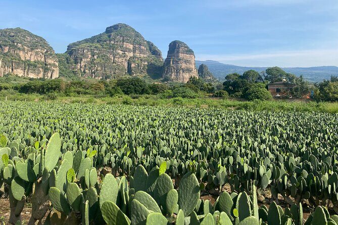 Tour to Discover Tlayacapan, the other side of Tepozteco - Exploring Tlayacapan: A Thoughtful Day Outside Mexico City