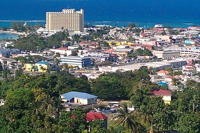 Tour to Fern Gully and Konoko Falls and Park - Key Points