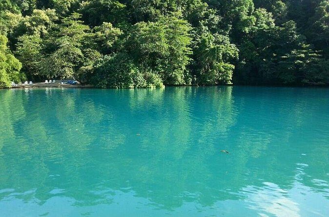 Tour to Fern Gully and Konoko Falls and Park - FAQ Section