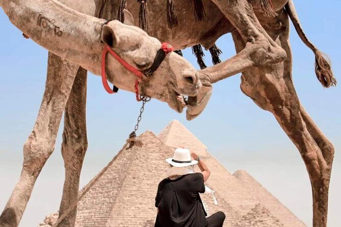Tour to Giza pyramids, sphinx, and New grand Egyptian Museum GEM - The Sum Up
