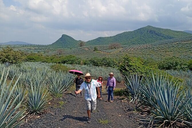 Tour to Guachimontones, hike agave fields and obsidian mines - Key Points