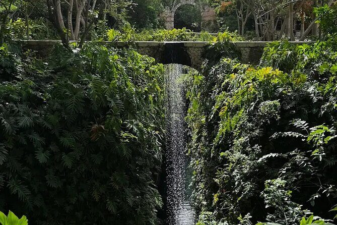 Tour to Hacienda Mucuyché, 2 cenotes & Oxkintok from Merida - Key Points