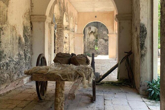 Tour to Hacienda Mucuyché, 2 cenotes & Oxkintok from Merida - Who Is This Tour Best For?