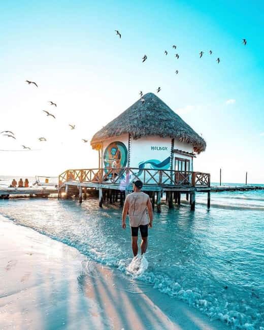 Tour to Holbox with food and transportation from Cancun, Playa del Carmen, and Tulum - Exploring the Details: What You Can Expect