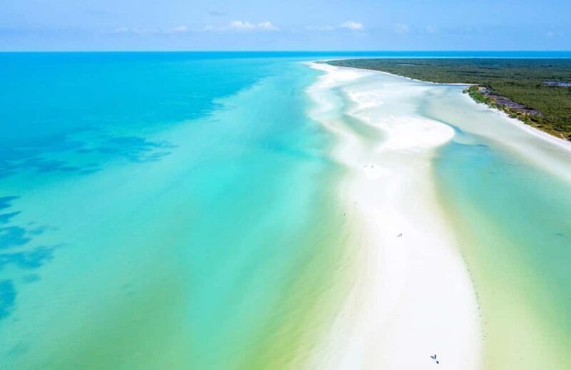 Tour to Holbox with food and transportation from Cancun, Playa del Carmen, and Tulum - Who Will Love This Tour?