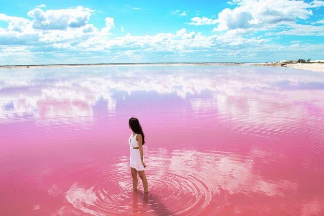 Tour to Las Coloradas Pink Waters and Boat Ride in Rio Lagartos with Lunch. - Reviews and Authentic Perspectives