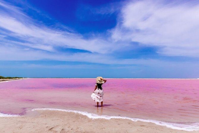 Tour to Las Coloradas Pink Waters and Boat Ride in Rio Lagartos with Lunch. - Who Will Love This Tour?