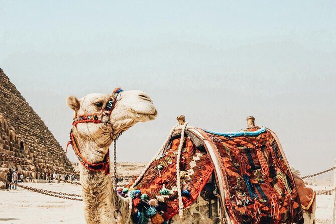 Tour to pyramids, Royal mummies & Civilization museum - Who Should Consider This Tour?