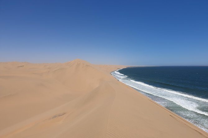 Tour to Sandwich harbour - What Makes This Tour Stand Out?