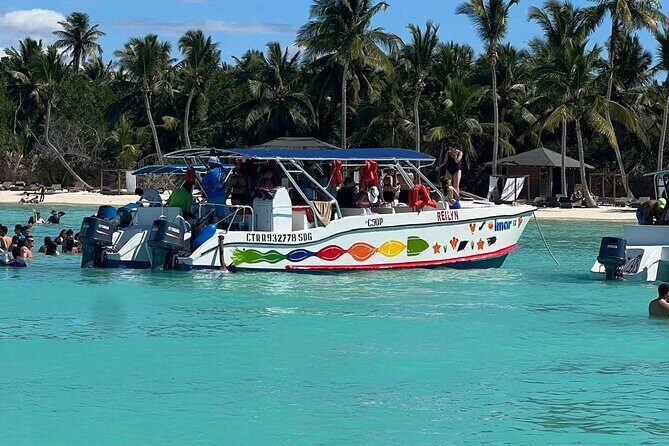 Tour to Saona Island with Lunch and Transportation - What the Tour Entails