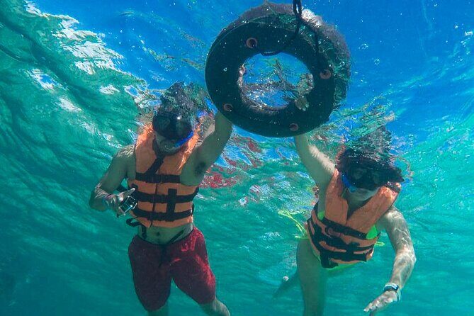 Tour to swim with turtles - Authentic Reviews: Real Voices from Travelers
