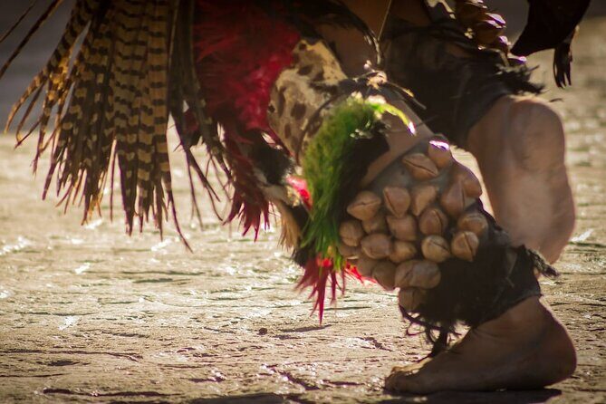Tour to Teotihuacan by Panoramic Bus with Food Option - An In-Depth Look at the Tour Experience