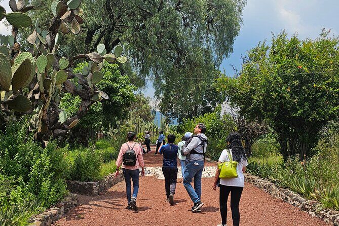 Tour to Teotihuacan the city of the gods - Whats Included and Whats Not