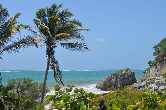 Tour Tulum, Cenote and Swim with Turtles in Akumal - The Practical Side: Cost, Duration, and Suitability