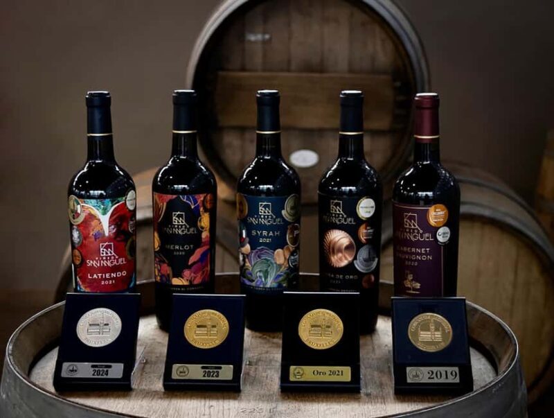 Tour & Wine Tasting San Miguel Vineyard / San Miguel Experience - Introduction