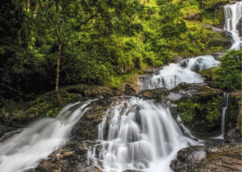 Touristic Highlights of Coorg (Guided Full Day Tour by car) - Final Thoughts