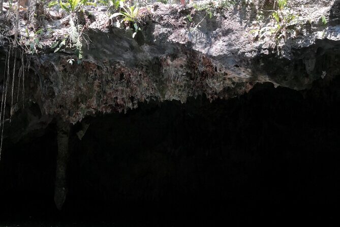 Tours On The Island Cozumel - The Sum Up