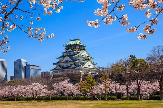 Tours_Namba_One Way Osaka Int Airport Itm To From Osaka_D51459 131112P335 Review - A Detailed Look at the Osaka Airport Transfer Service