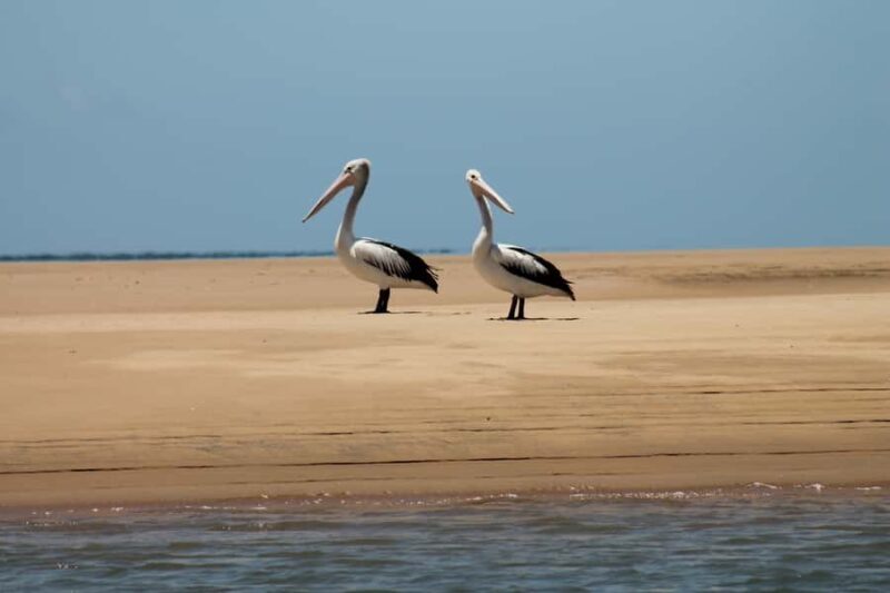 Town 1770: Afternoon Coastline Tour - Key Points