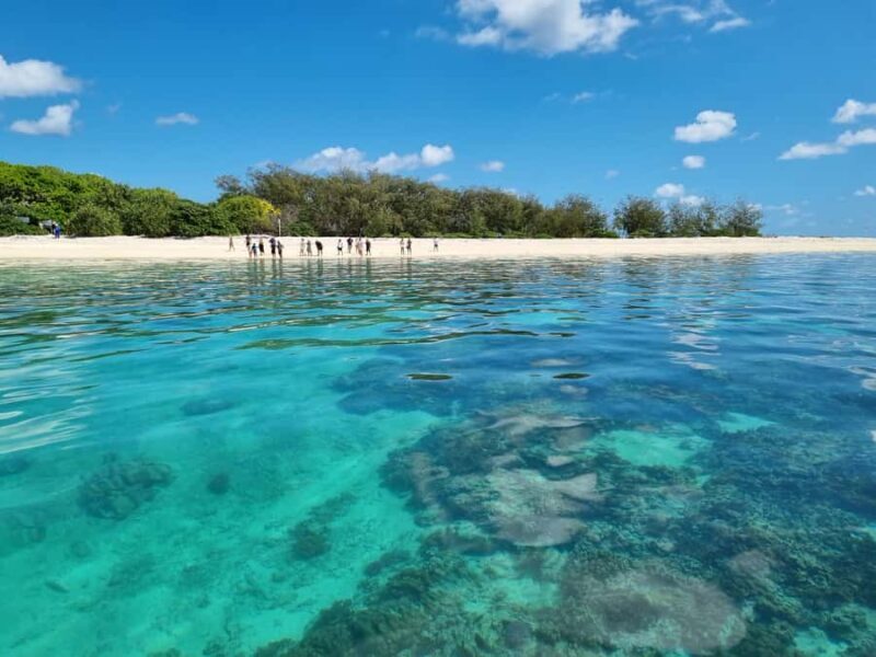 Town of 1770: Lady Musgrave Island Snorkelling Day Cruise - Key Points
