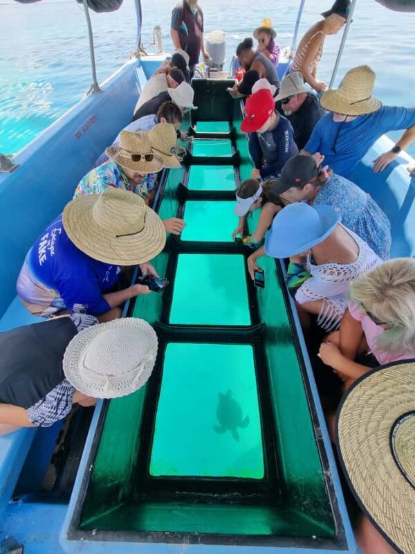 Town of 1770: Lady Musgrave Island Snorkelling Day Cruise - Snorkeling in the Lagoon