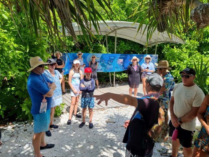 Town of 1770: Lady Musgrave Island Snorkelling Day Cruise - Glass-Bottom Boat Tour and Wildlife Sightings