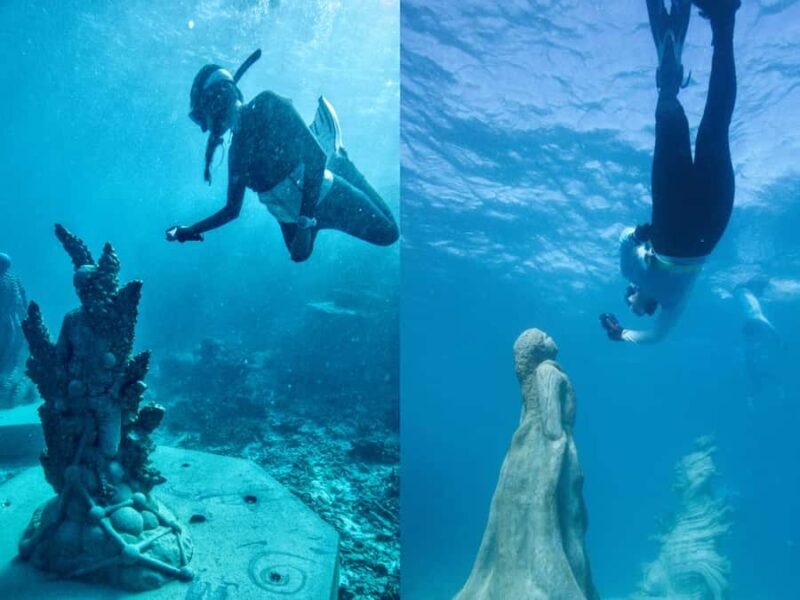 Townsville: Great Barrier Reef and MOUA Snorkeling Day Tour - A Detailed Look at the Experience