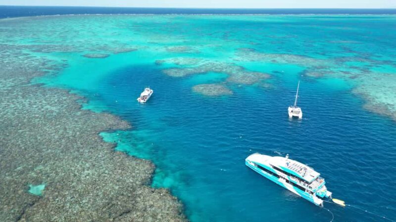 Townsville: Great Barrier Reef and MOUA Snorkeling Day Tour - Real Traveler Insights