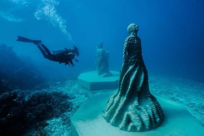 Townsville & Magnetic Island: MOUA & Reef Scuba Experience - An In-Depth Look at the Experience