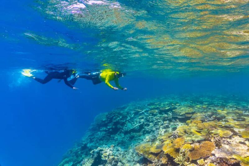 Townsville & Magnetic Island: MOUA & Reef Snorkel Experience - Townsville & Magnetic Island: MOUA & Reef Snorkel Experience - A Complete Review