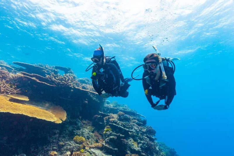 Townsville & Magnetic Island: MOUA & Reef Snorkel Experience - Frequently Asked Questions