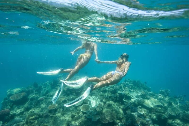 Townsville & Magnetic Island: Reef Explorer Snorkel Trip - Key Points