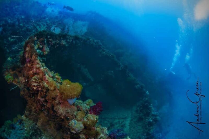 Townsville or Magnetic Island: Yongala Wreck Dive Day Trip - An In-Depth Look at the Yongala Wreck Tour