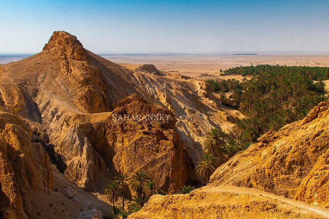 Tozeur Private Half-Day Tour: Tamerza, Chebika and Mides Canyons - Tozeur Private Half-Day Tour: Tamerza, Chebika, and Mides Canyons — an Authentic Slice of Southern Tunisia