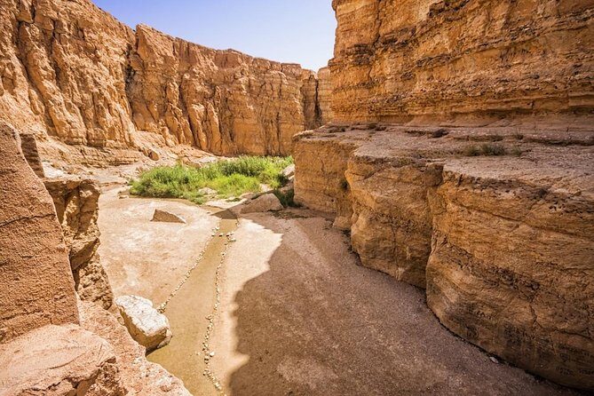 Tozeur Private Half-Day Tour: Tamerza, Chebika and Mides Canyons - Key Points
