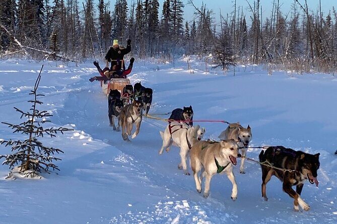 Traditional Dog Sledding Adventure in Yellowknife - Deep Dive into the Experience