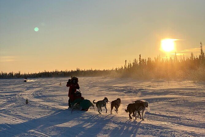 Traditional Dog Sledding Adventure in Yellowknife - FAQ