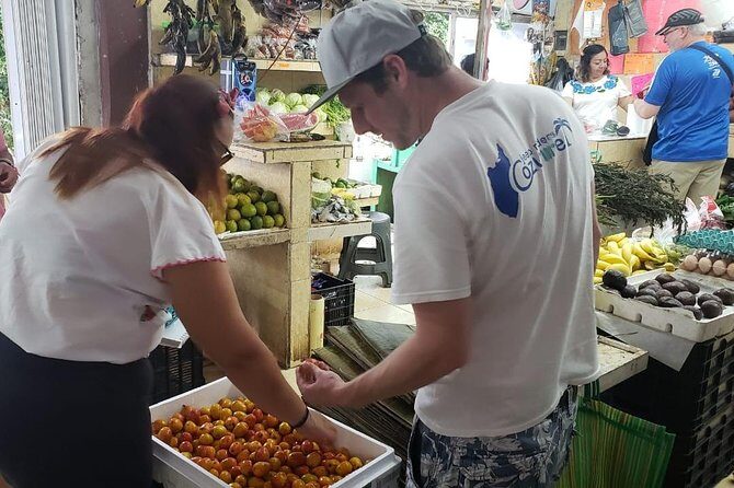 Traditional Family Kitchen in Cozumel - Final Thoughts