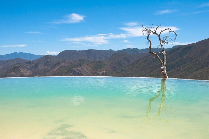 Traditional Market ,Widest Tree, Artisanal Textiles, Mezcal Magic - Key Points