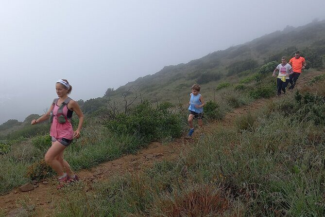 Trail running Lion's Head to Signal Hill Morning Run - Practical Tips for Participants