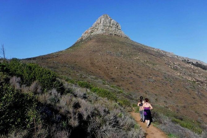 Trail running Lion's Head to Signal Hill Morning Run - Who Will Love This Tour?