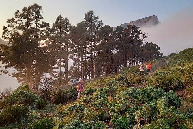 Trail running Lion's Head to Signal Hill Morning Run - The Sum Up: A Well-Balanced Adventure