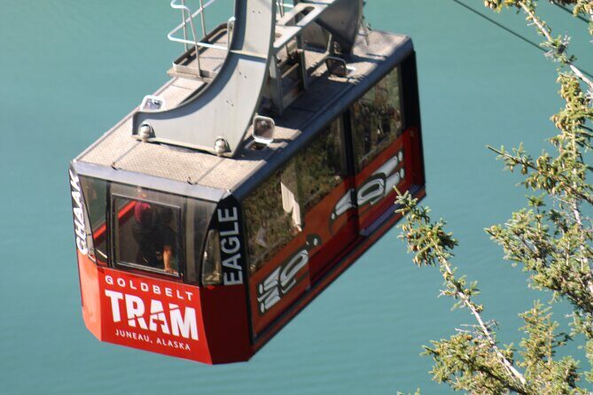 Trails and Ale Tour and Tram Combo - Key Points